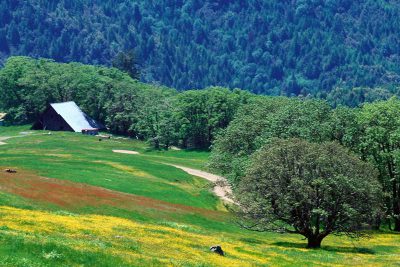 KẾ HOẠCH CHI BỘ THÁNG 03/2020