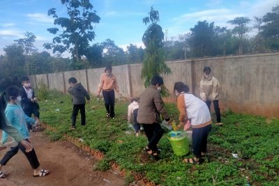 Hoạt động trường em xanh sạch đẹp